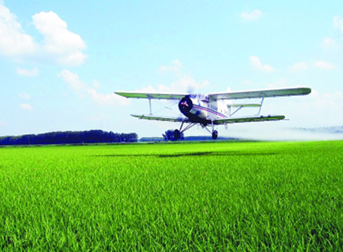 關(guān)于做好全省水稻稻瘟病防治工作的緊急通知！