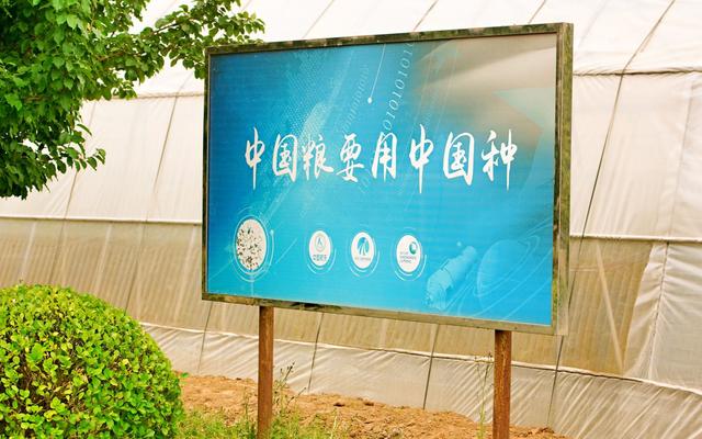 什么是種子處理？你有了解嗎？